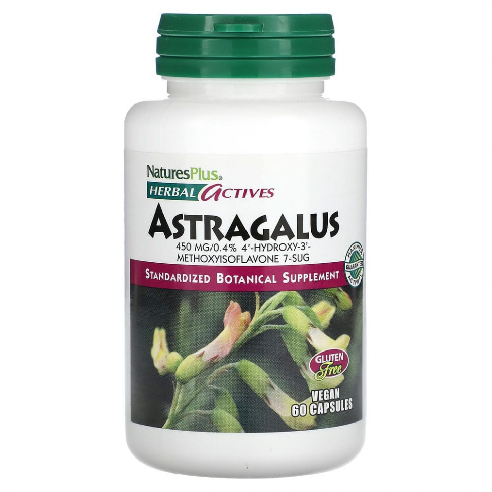 ���� ������ (Iherb) NaturesPlus, Herbal Actives, ��������, 450 ��, 60 ��������� ������, ������ �� 4500 ���