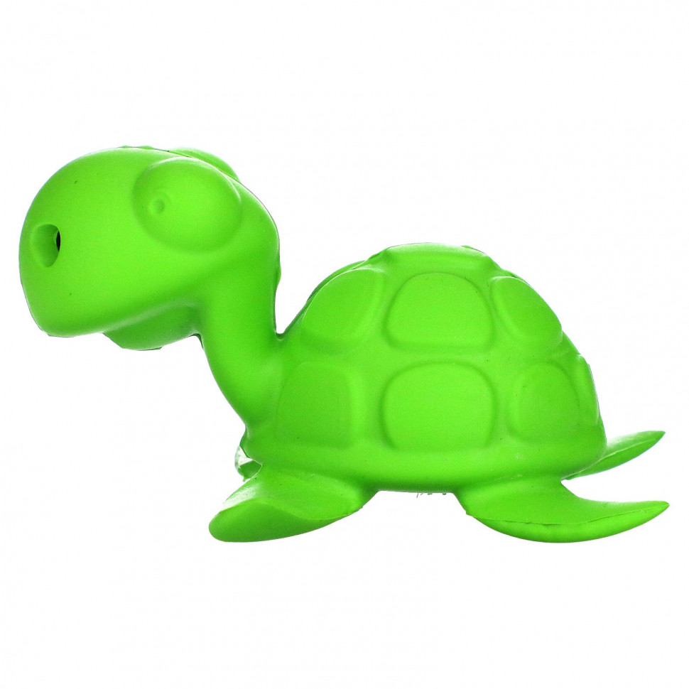   (Iherb) Begin Again Toys, Bath Bath Pals,      ,    2 , Turtle, 1     -     , -, 