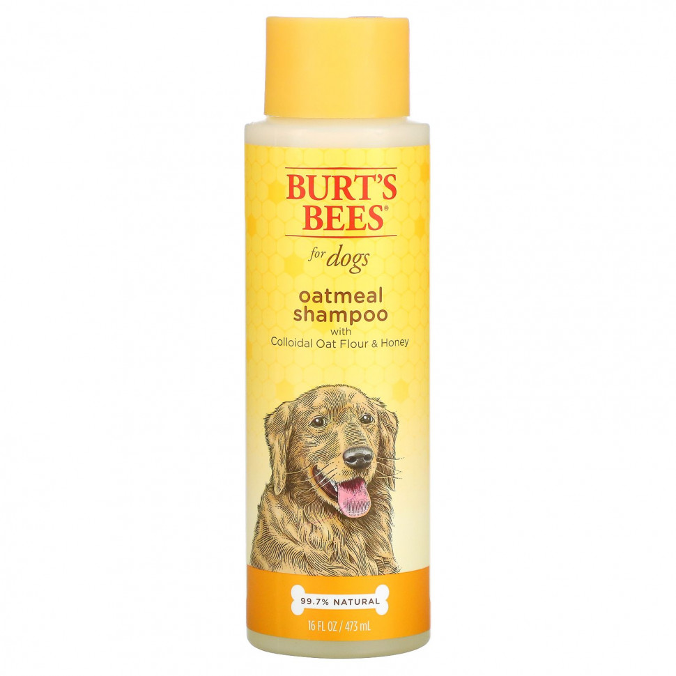 ���� ������ (Iherb) Burt's Bees, Oatmeal Shampoo for Dogs, Colloidal Oat Flour & Honey, 16 fl oz (473 ml), ������ �� 1870 ���