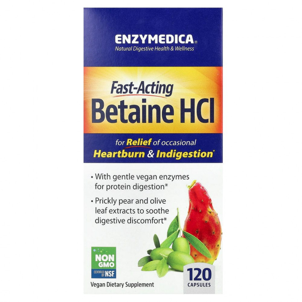   (Iherb) Enzymedica,  , 120     -     , -, 