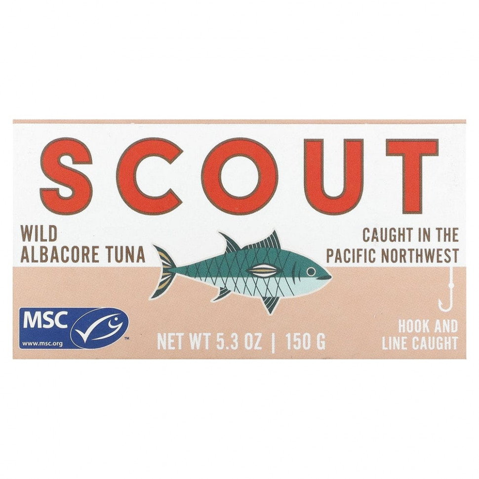   (Iherb) Scout,   , 150  (5,3 )    -     , -, 