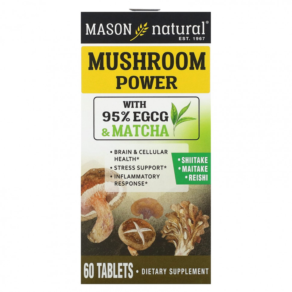   (Iherb) Mason Natural, Mushroom Power, 60     -     , -, 