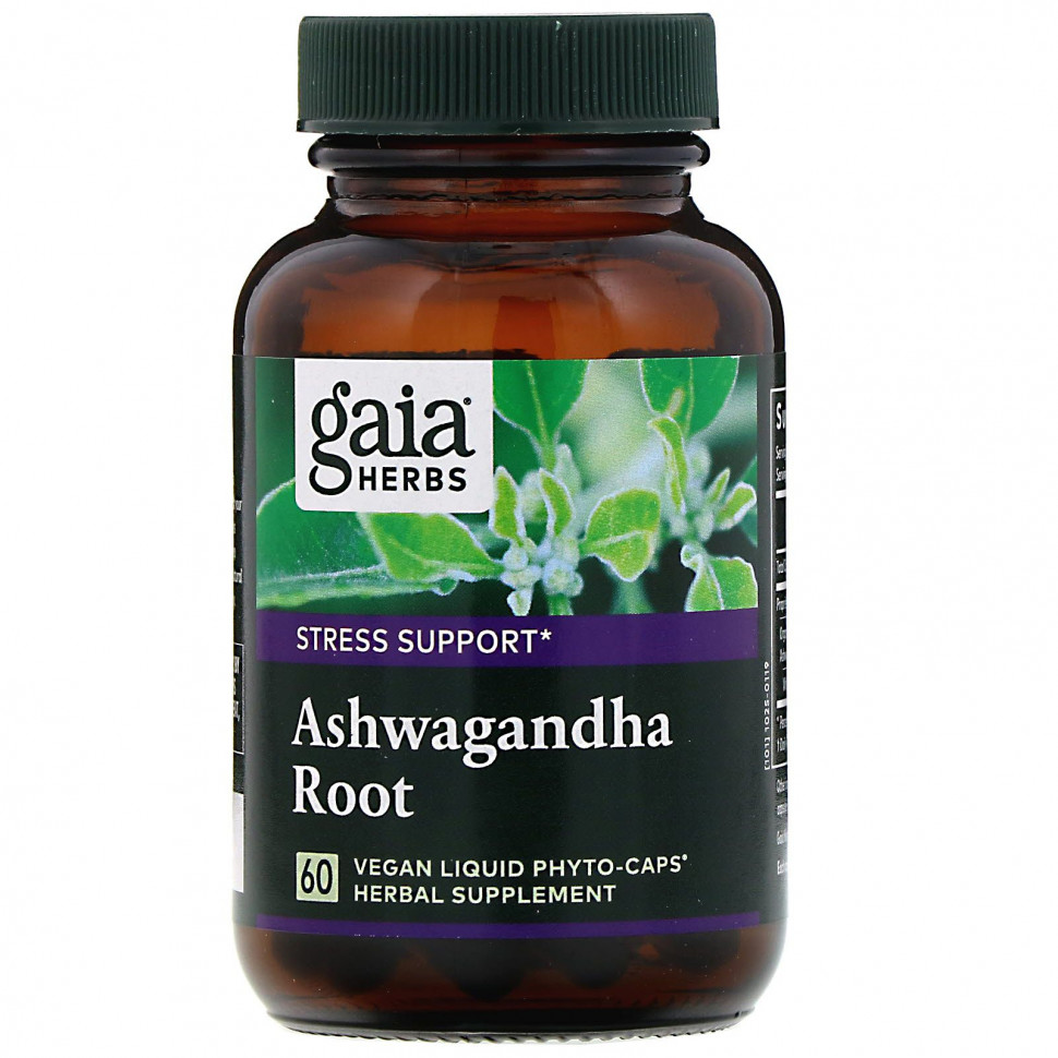 ���� ������ (Iherb) Gaia Herbs, ������ ���������, 60 ��������� ����-������ � ���������, ������ �� 4140 ���