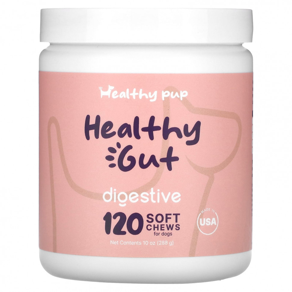   (Iherb) Healthy Pup, Healthy Gut,   ,  , 120  , 288  (10 )    -     , -, 