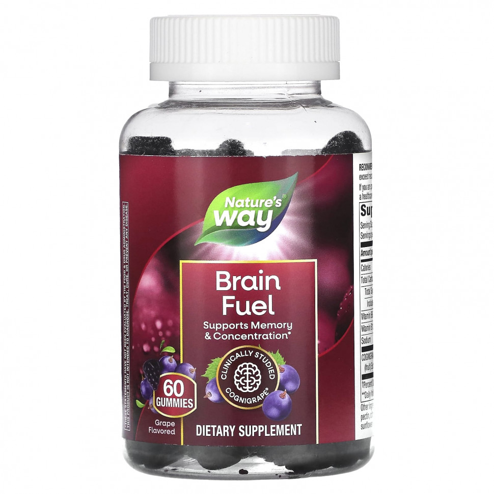 ���� ������ (Iherb) Nature's Way, Brain Fuel, ��������, 60 ����������� ��������, ������ �� 3290 ���