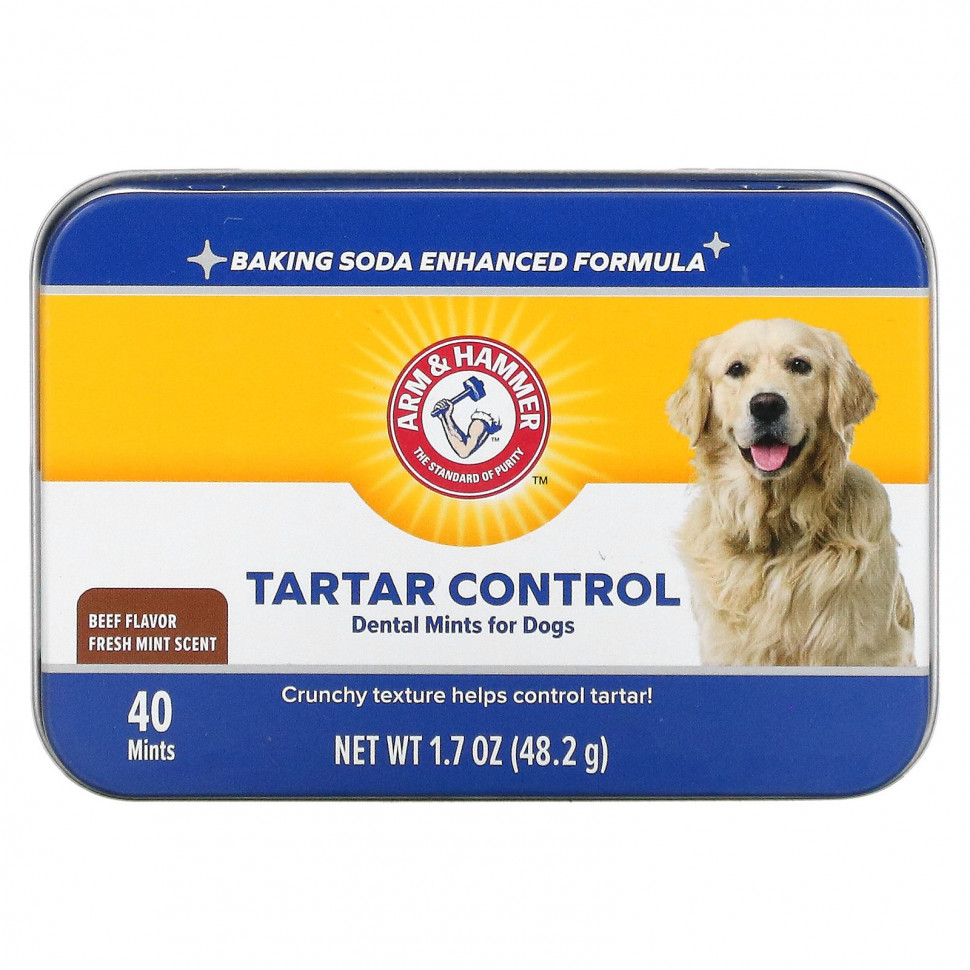   (Iherb) Arm & Hammer, Tartar Control Dental Mints  ,   , , 40     -     , -, 