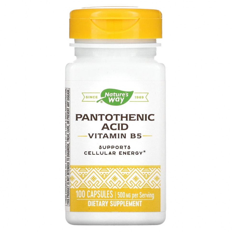 ���� ������ (Iherb) Nature's Way, ������������ �������, ������� B5, 250 ��, 100 ������, ������ �� 2660 ���