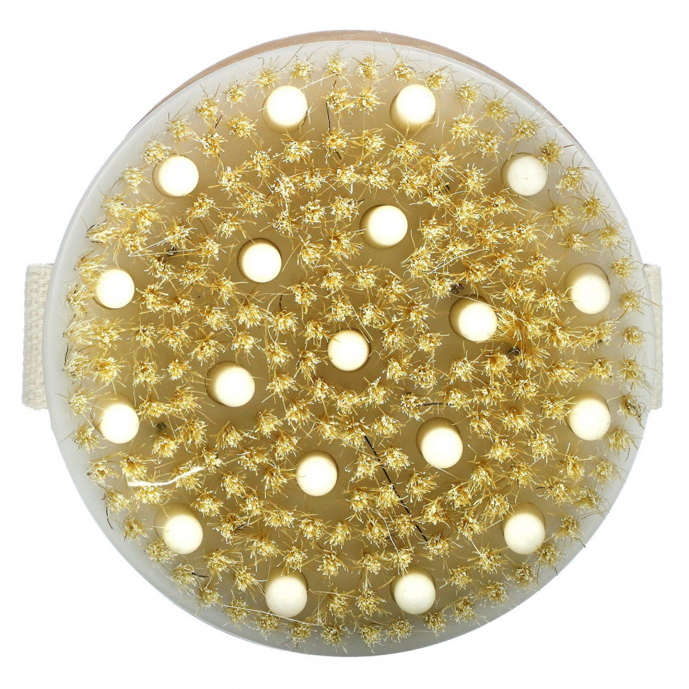 ���� ������ (Iherb) Beauty By Earth, Dry Brushing Body Brush, 1 Round Body Brush, ������ �� 1980 ���