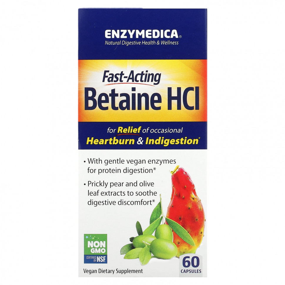   (Iherb) Enzymedica,   , 60     -     , -, 