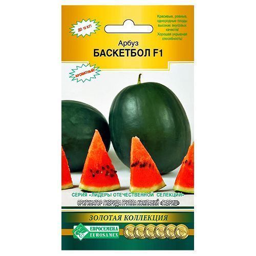 ����  ����� ��������� F1 ����������, ������ �� 49 ���