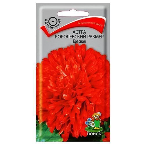 ����  ����� ����������� ������ ������� �����, ������ �� 21 ���