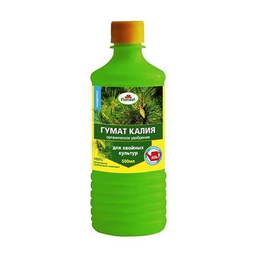 ����  Florizel ����� ����� ��� ������� ������� 0,5 �, ������ �� 126 ���