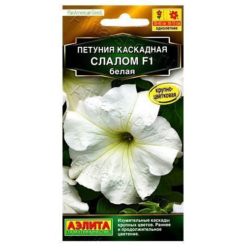 ����  ������� ��������� ������ F1 ����� ������, ������ �� 36 ���