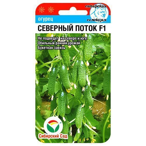 ����  ������ �������� ����� F1 ��������� ���, ������ �� 42 ���