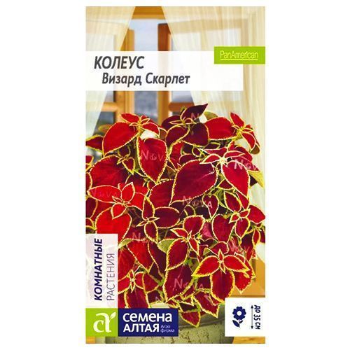 ����  ������ ������ ������� ������ �����, ������ �� 49 ���