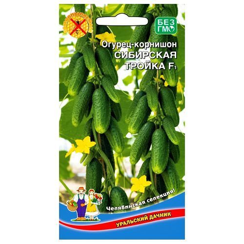 ����  ������ �������� ��������� ������ F1 ��������� ������, ������ �� 35 ���