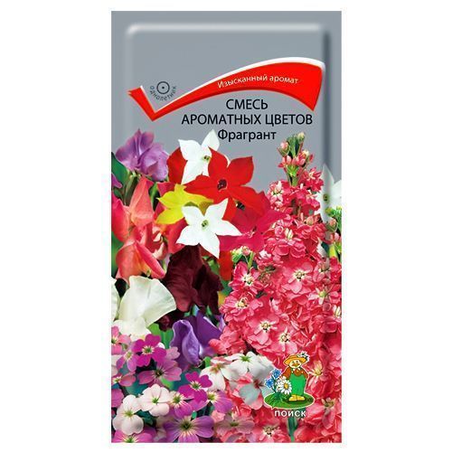 ����  ��������� ����� �������� �����, ������ �� 21 ���