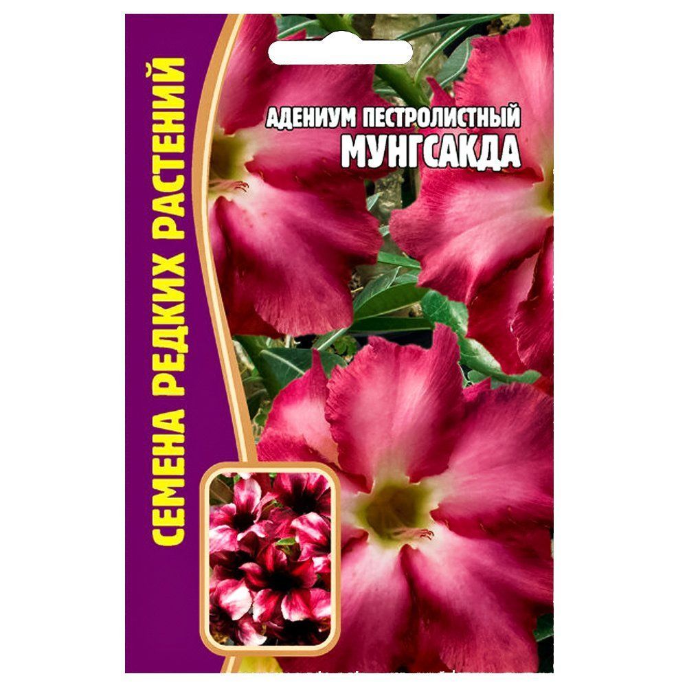 ����  ������� ��������� ������ ������, ������ �� 273 ���