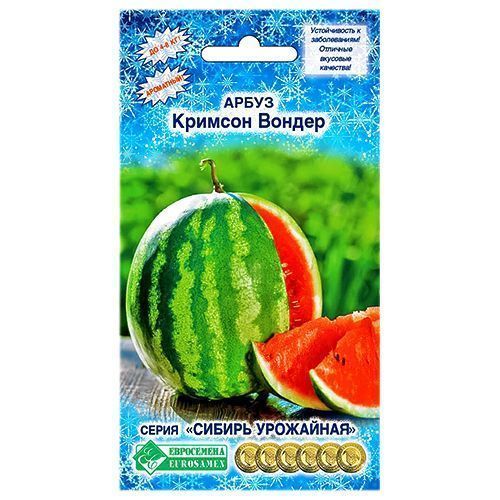 ����  ����� ������� ������ ����������, ������ �� 28 ���