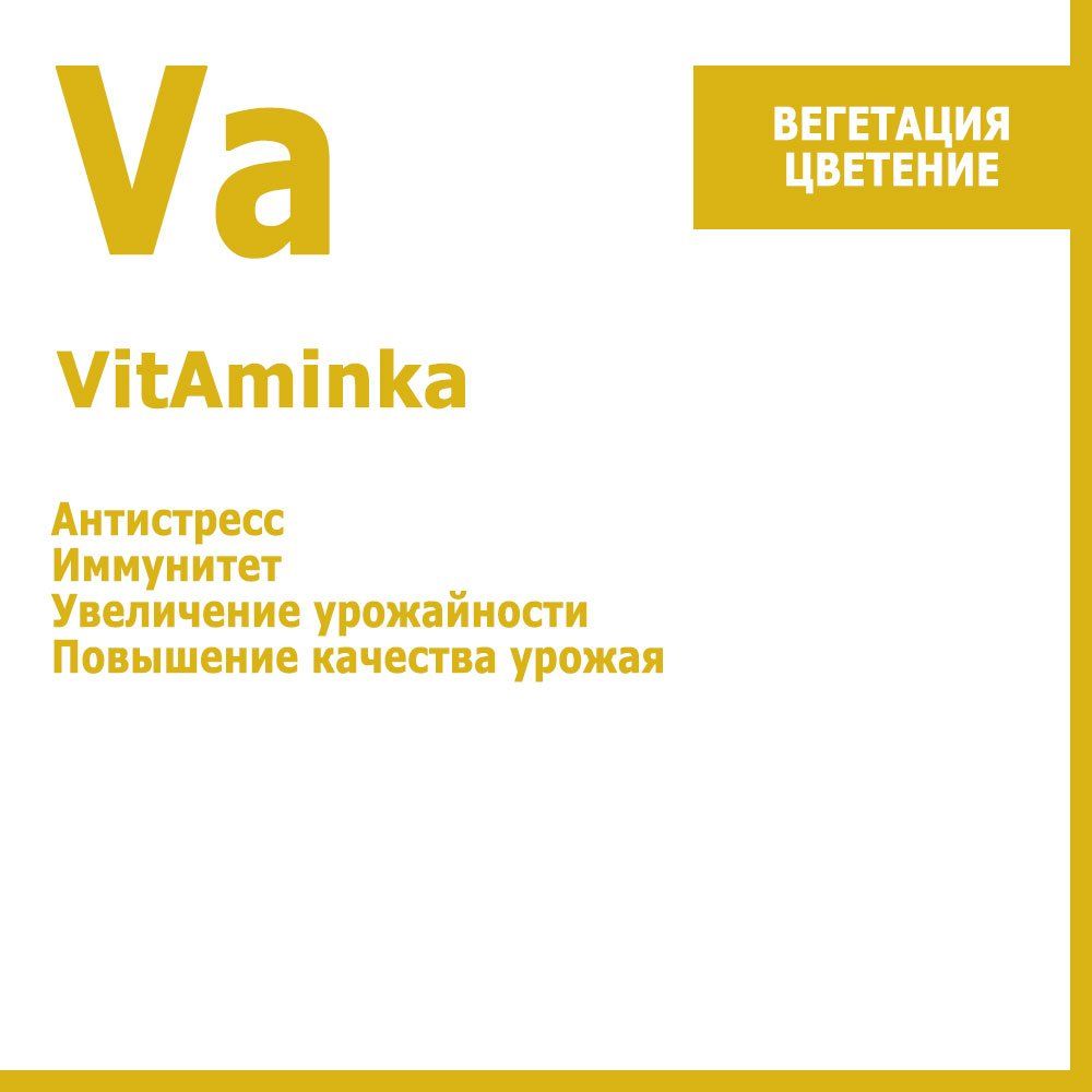 ����  VitAminka, ���������-�������������� ���������� 10 ��, ������ �� 355 ���