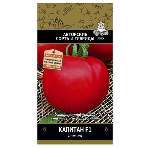 ����  ����� ������� F1 �����, ������ �� 28 ���