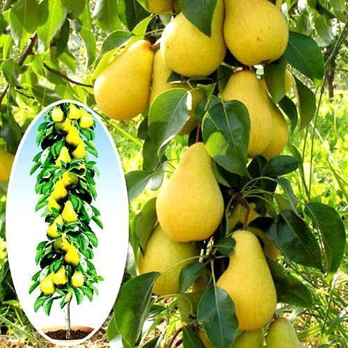 ����  ����� ������������ ������, ������ �� 516 ���