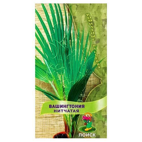 ����  ����������� �������� �����, ������ �� 70 ���