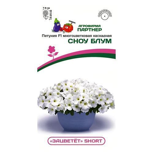 ����  ������� �������������� ��������� �������� Short ���� ���� F1 �������, ������ �� 96 ���