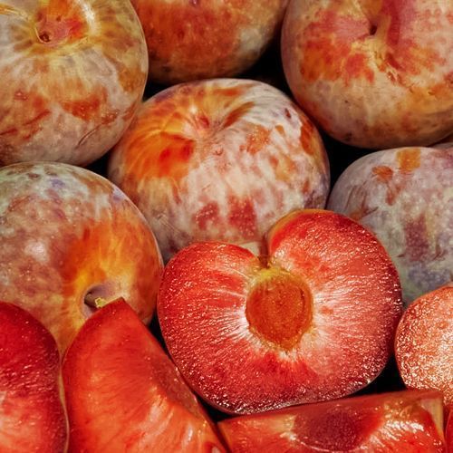 ����  ����� (������ ����� � ��������) ���� �����, ������ �� 483 ���