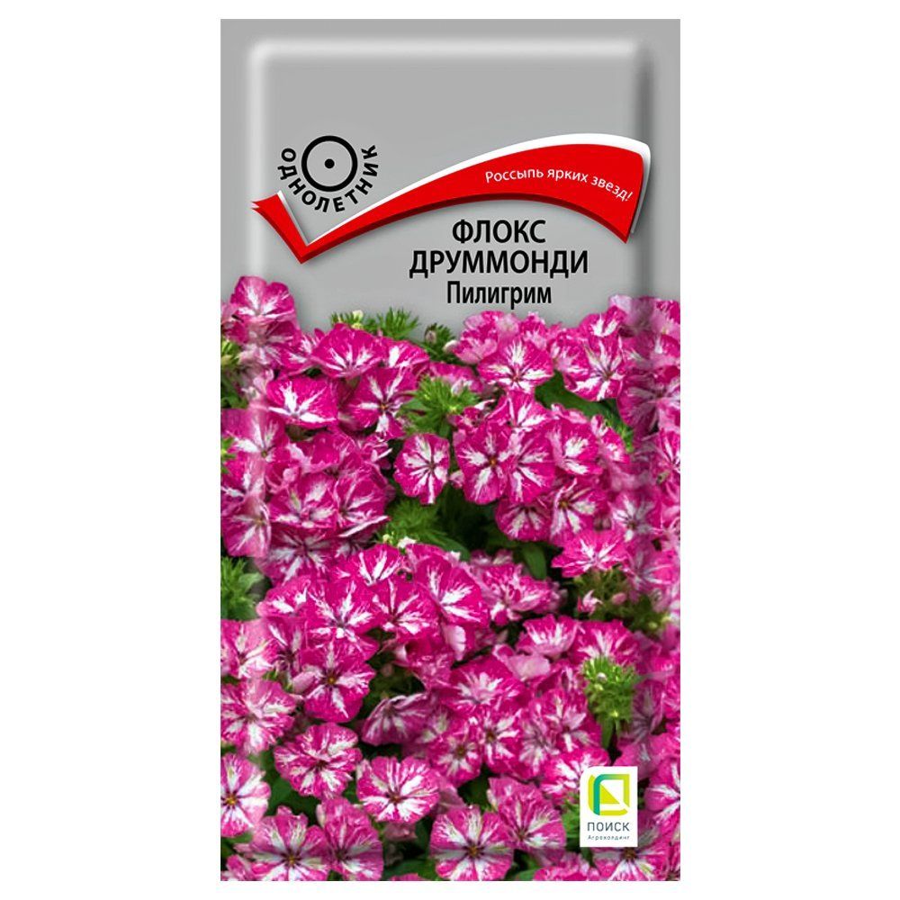 ����  ����� ��������� �������� �����, ������ �� 21 ���