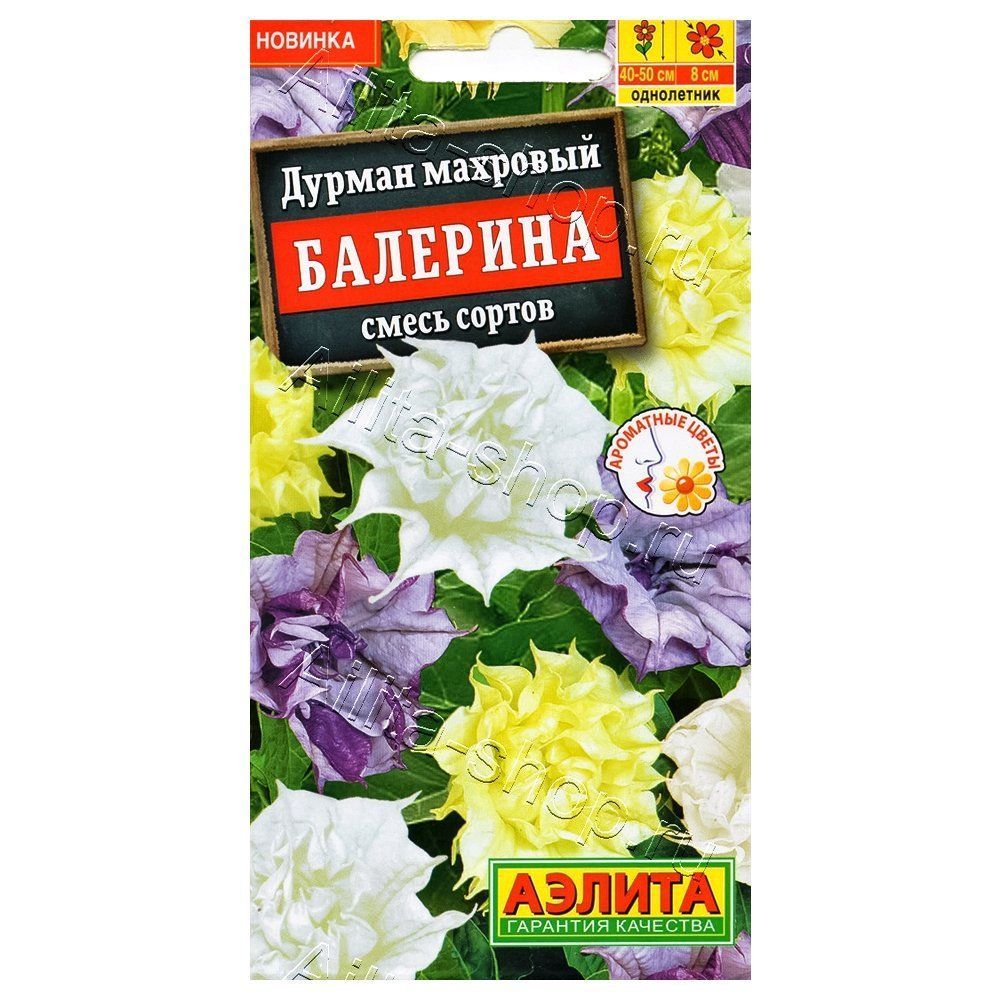 ����  ������ ��������, ����� ������� ������, ������ �� 48 ���