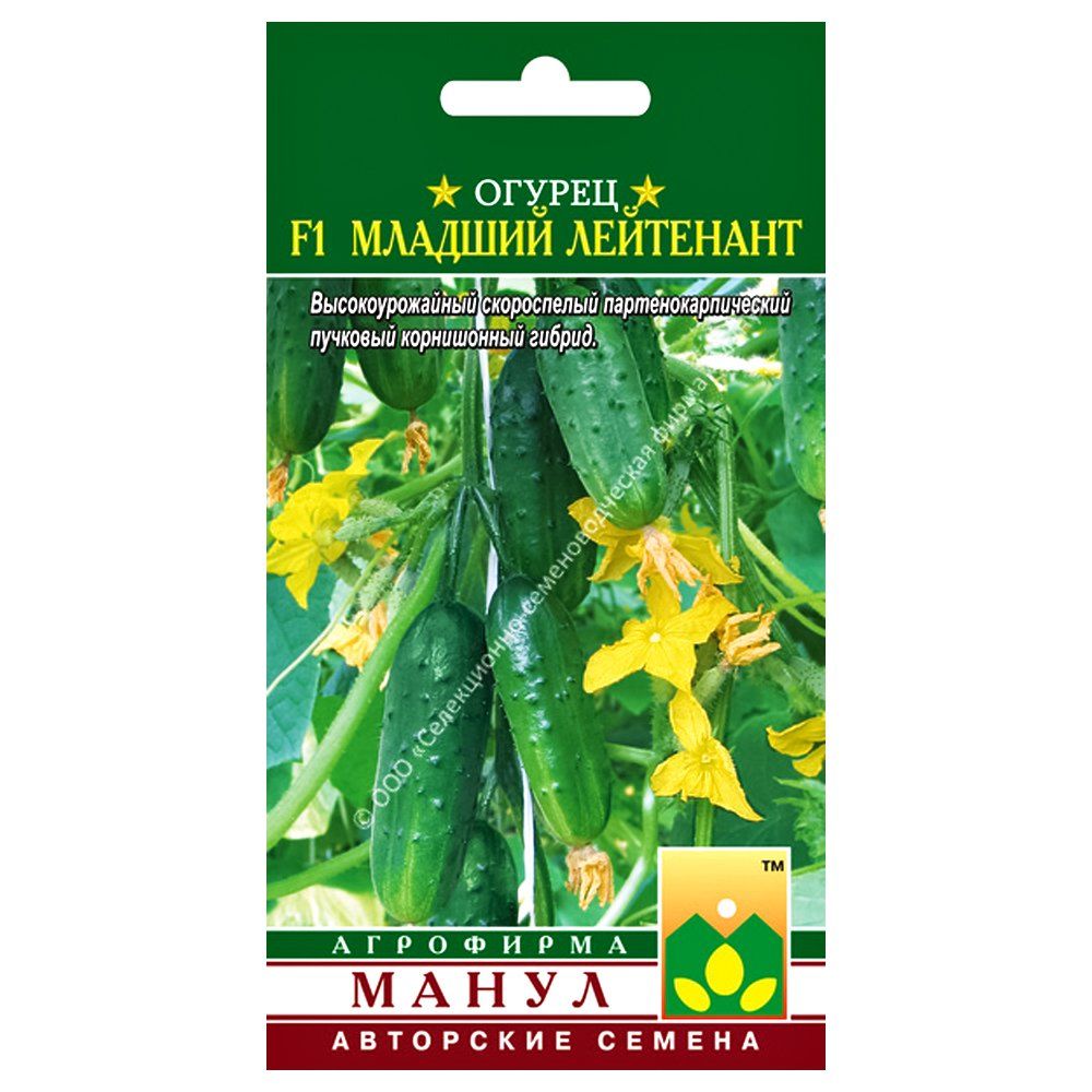 ����  ������ ������� ��������� F1 �����, ������ �� 16 ���