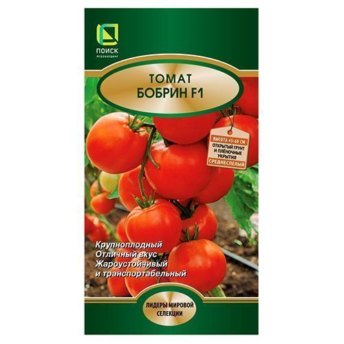 ����  ����� ������ F1 �����, ������ �� 10 ���