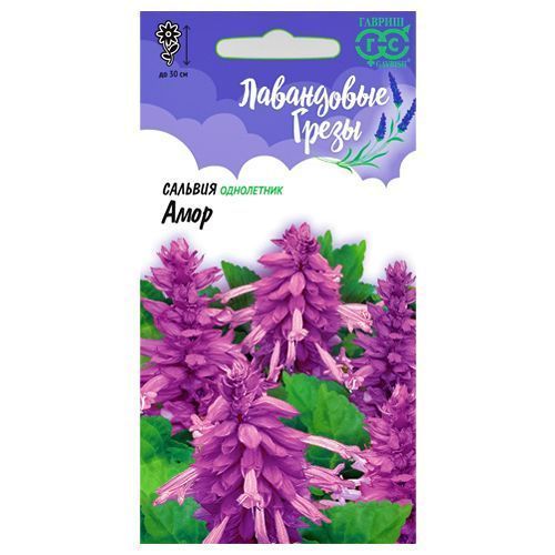 ����  ������� ���� ������, ������ �� 42 ���