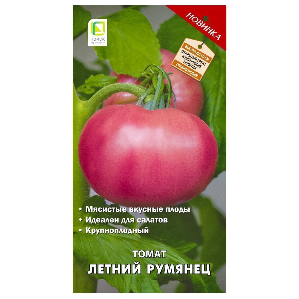 ����  ����� ������ ������� �����, ������ �� 28 ���