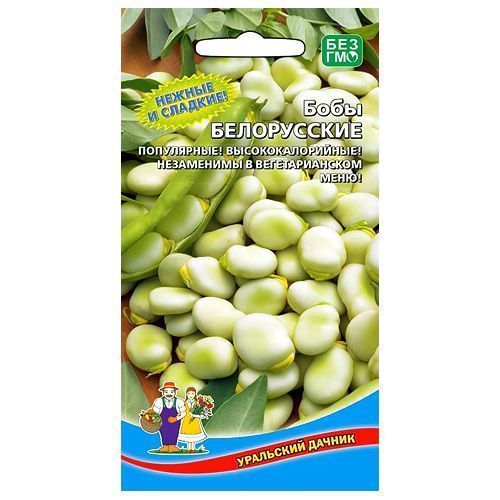 ����  ���� ����������� ��������� ������, ������ �� 28 ���