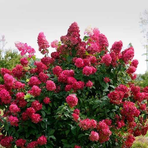 ����  ��������� ����������� ���� ���, ������ �� 940 ���