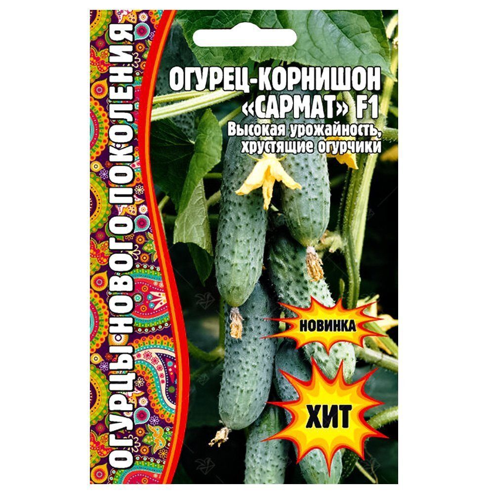 ����  ������ ������ F1 ������ ������, ������ �� 133 ���