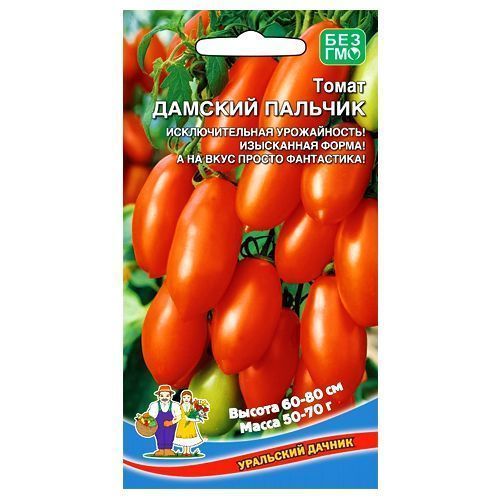 ����  ����� ������� ������� ��������� ������, ������ �� 28 ���