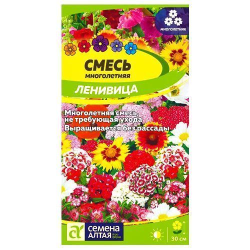 ����  ��������� ����� ��������, ����� ������� ������ �����, ������ �� 49 ���