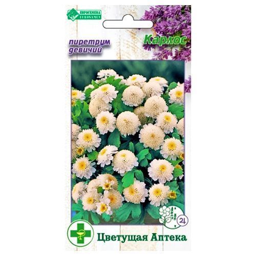 ����  �������� ������� ������ ����������, ������ �� 42 ���