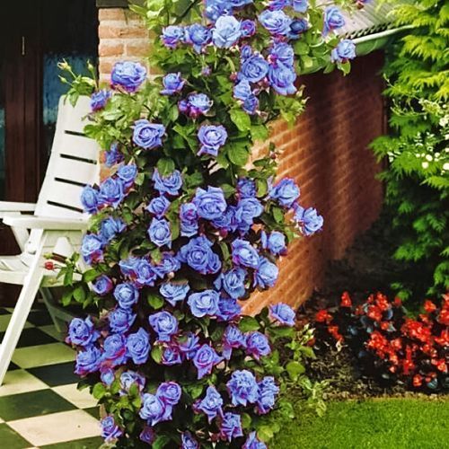 ����  ���� ��������� ���, ������ �� 423 ���