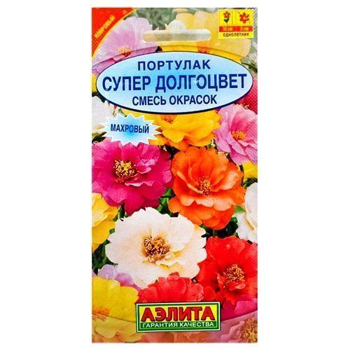 ����  �������� �������� ����� ���������, ����� ������� ������, ������ �� 24 ���