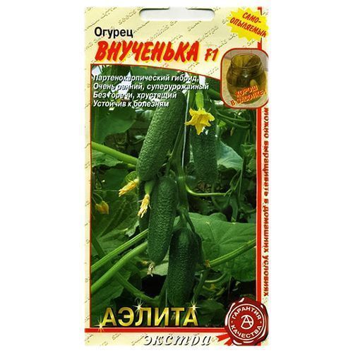 ����  ������ ��������� F1 ������, ������ �� 12 ���