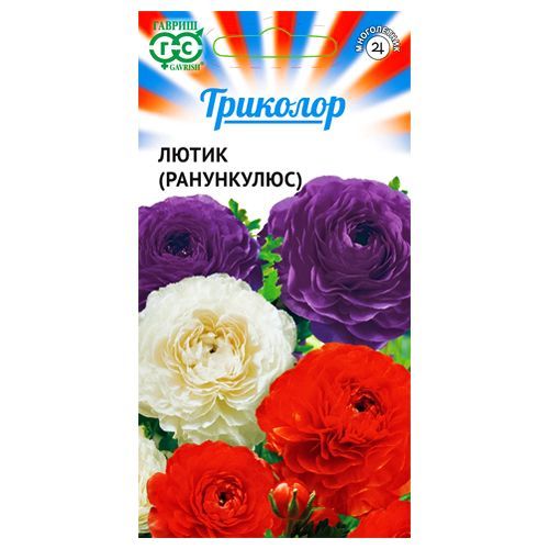 ����  ����� (����������), ����� ������� ������, ������ �� 162 ���