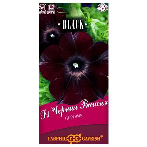 ����  ������� �������������� ������ ����� F1 ������, ������ �� 120 ���