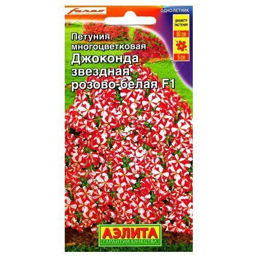 ����  ������� ��������� �������� F1 �������� ������-����� ������, ������ �� 54 ���