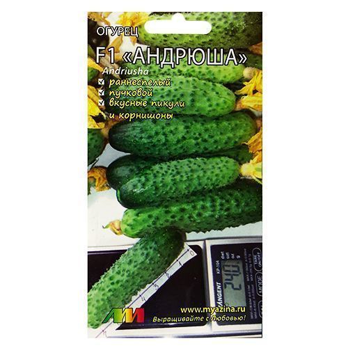 ����  ������ ������� F1 ����������� ������ �.�., ������ �� 49 ���