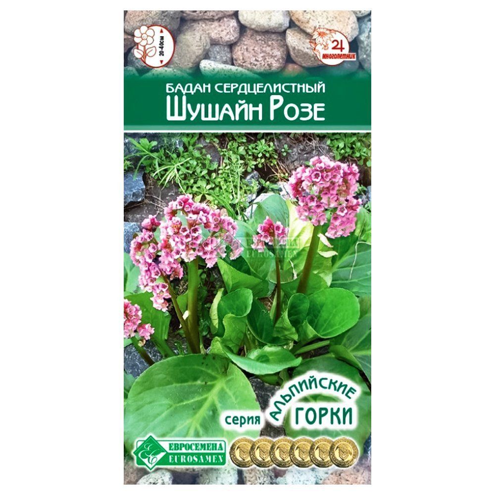 ����  ����� ������ ���� ����������, ������ �� 63 ���