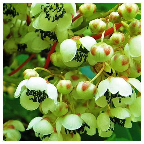 ����  ��������� ������ ������� ���� �����, ������ �� 632 ���